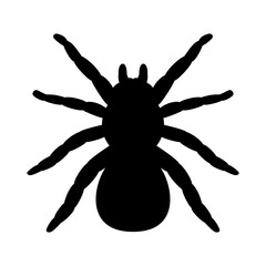 Vector tarantula spider silhouette
