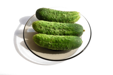 Cucumbers on the plate, isolated, white background - 442397867