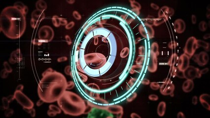 Animation of circular scanner over red blood cells and covid 19 cell, with data processing - Powered by Adobe