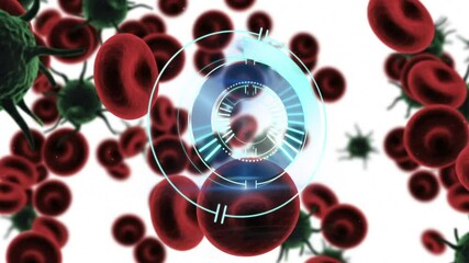 Animation of circular scanner rotating over red blood cells and covid 19 cells, on white - Powered by Adobe