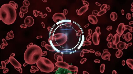 Animation of circular scanner rotating over red blood cells - Powered by Adobe
