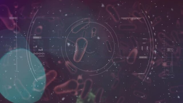 Animation of scope scanning and macro bacteria or covid 19 cells