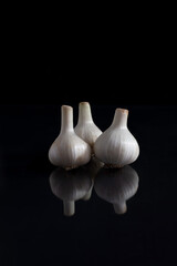 white young garlic on a black background minimalistic