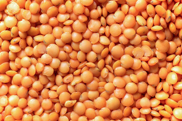 Red lentils pattern as background. Natural organic lentils. Dry uncooked red lentils grain texture.