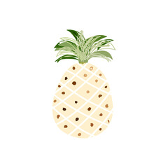 decorative hawaiian  tropical fruit,   pineapple, vector illustration