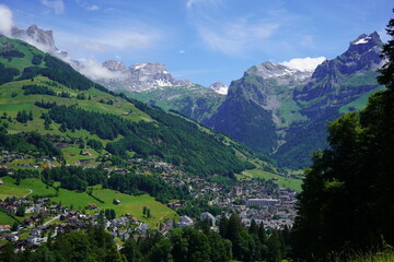 Nature