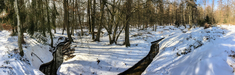 Winter im Tierpark von Schloss Raesfeld