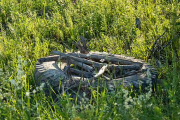 old wheel in grass