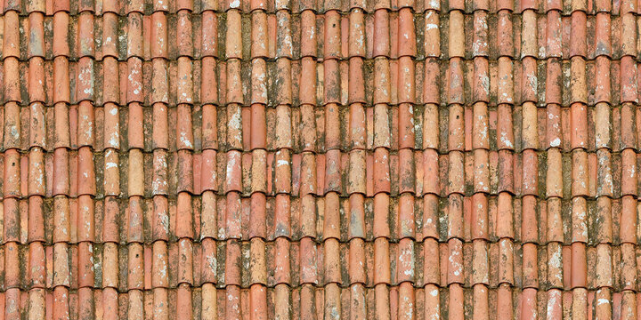 Seamless Tileable Texture of Ceramic Roofing Tiles