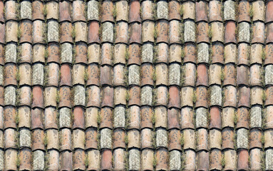 Seamless Tileable Texture of Ceramic Roofing Tiles