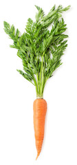 Carrots with leaves on a white background. Top view.