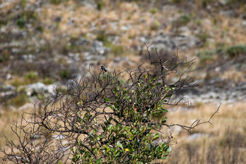 Vale do Travessão, Serra do Cipó - MG