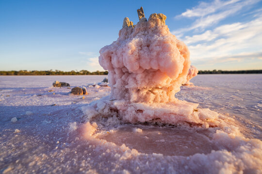 Low angled view of weathered fenceposts in a salt lake encrusted with pink salt crystals