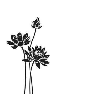Vector black silhouettes of lotus flowers isolated on a white background.