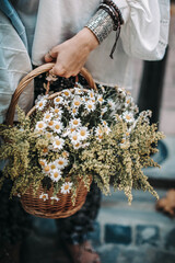 Female hands holding a wicker basket with a bouquet of fresh field daisies