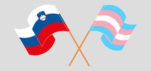 Crossed and waving flags of Slovenia and Transgender Pride