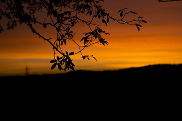 Naklejka premium sunset, sun, nature, landscape, horizon