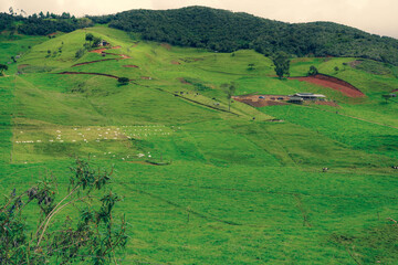 vista amplia llanura pasto colina andes ecuador tarqui azuay 
