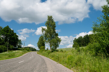 Fototapeta na wymiar Scenic countryside landscape. Empty asphalt road. Summer nature. Blue cloudy sky. Green trees and grass.