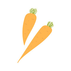 Carrot. Flat hand drawn textured illustration of garden orange vegetables.