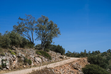 Fototapeta na wymiar Scenic landscape of dirt road in mountainous arid area. Hot sunny summer day. Southern nature. Dry grass. Green trees and bushes.