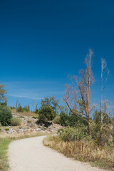 Scenic landscape of dirt road in mountainous arid area. Hot sunny summer day. Southern nature. Dry grass. Green trees and bushes.