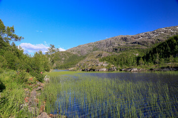 Fototapeta na wymiar Great trip to lake Ursvatnet in Velfjord - ,Helgeland,Nordland county,scandinavia,Europe