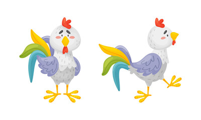 Rooster Funny Character with Bright Feathers Standing and Walking Vector Set