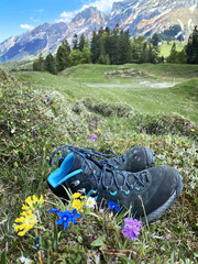 Pair of hiking boots in the mountains meadow with flowers 