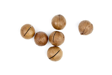 Roasted macadamia nuts in shell isolated on white background. Unshelled macadamia nuts, top view