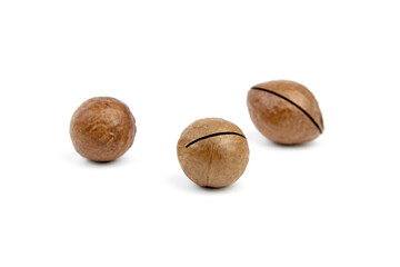 Roasted macadamia nuts in shell isolated on white background. Unshelled macadamia nuts