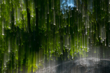 Fototapeta na wymiar intentional blur with ling time exposure of green leaves on trees looking like green light rays or rain with. spot of blue sky background with light vertical motion leaves falling in spring 