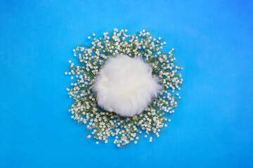 Digital backgrounds for newborns. Nest on a blue background with fur inside, surrounded by lily of...