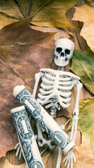 vertical photo of a skeleton with dollars in the autumn