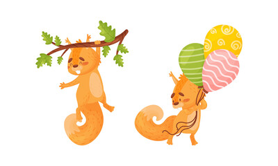 Fluffy Squirrel Character Holding Bunch of Balloons and Hanging on Tree Branch Vector Set