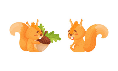 Fluffy Squirrel Character Sitting with Acorn Vector Set