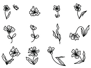 Summer meadow flowers and leaves hand drawn vector collection. Illustration for decor and design.
