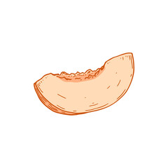 Fototapeta premium Hand drawn slice of peach isolated on white background. Vector illustration in sketch style. Design element for package, label, poster, print, menu