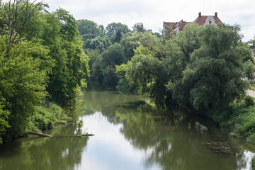 Fototapeta na wymiar Altwasser auf Whörd mit Weiden und speigelungen in Regensburg