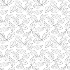 The contours of the leaves. Seamless vector black and white pattern. Outlines of leaves on a white background.