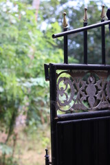 Fototapeta premium looking through a gate