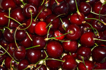 ripe red cherry. delicious sweet berry. background for the design.
