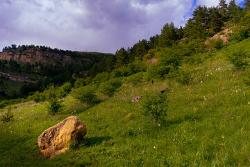 Obraz premium Hiking through the alpine meadows filled with abundant wildflowers.