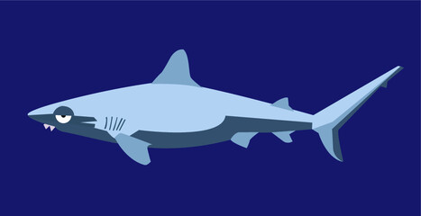 shark
