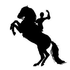 silhouette of a rider riding a rearing horse, isolated on a white, colored, landscape background
