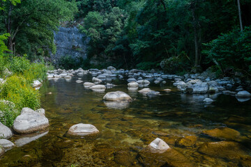 Naklejka na ściany i meble une rivière au fond des bois avec des rochers répartis tout le long