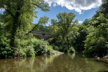 Fototapeta na wymiar un pont au dessus d'une rivière entouré d'une forêt