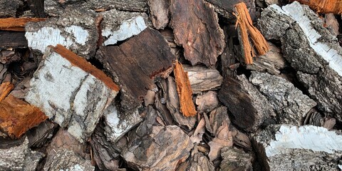 Mulching flower beds with mulch from natural coniferous bark. Natural mulch made from coarse wood chips. Close-up top view. Close up for background.