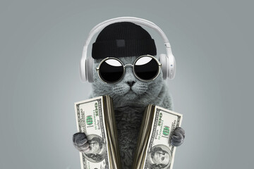 Funny rich boss cat with solar protection glasses, a hat and headphones is holding cash money...