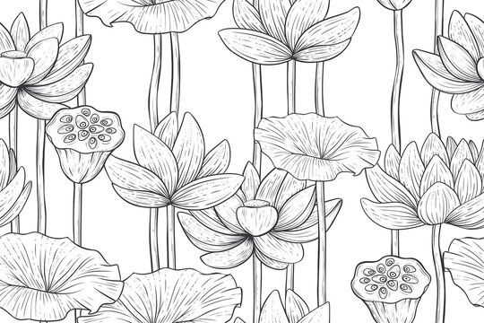 Seamless pattern of lotus flowers, vector